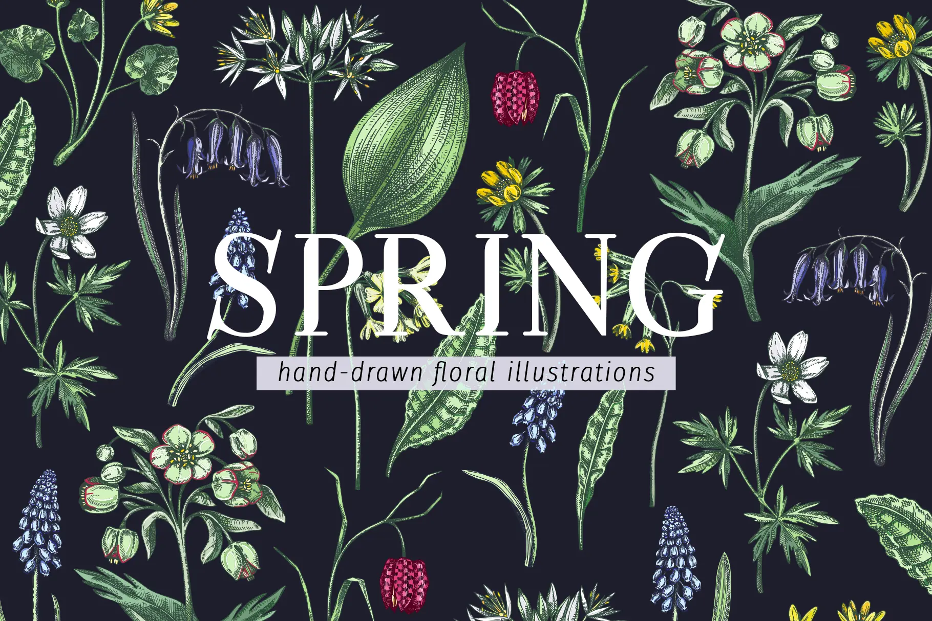 Hand-drawn Spring Flowers Sketches. Vector Wildflower Illustrations Illustration